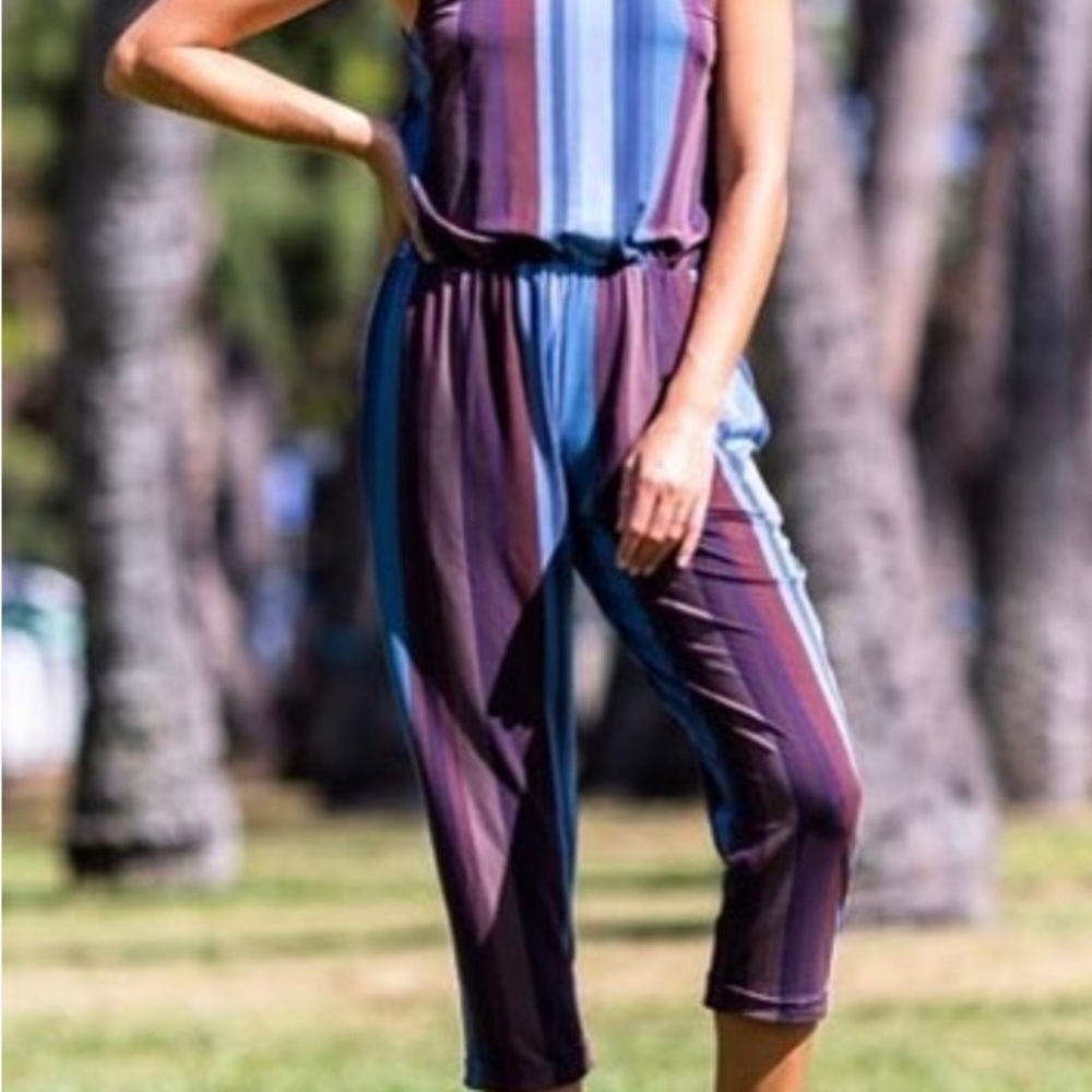 Fighting Eel Jumper brown and blue xs sleeveless